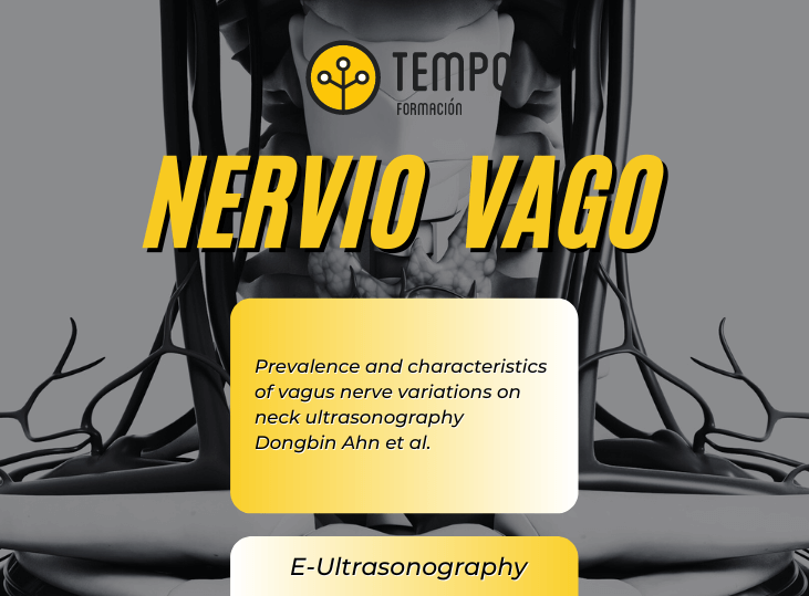 nervio-vago-y-ecografia